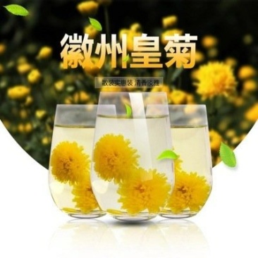 品舌一朵一杯优质徽州皇菊菊花茶500g（散装）