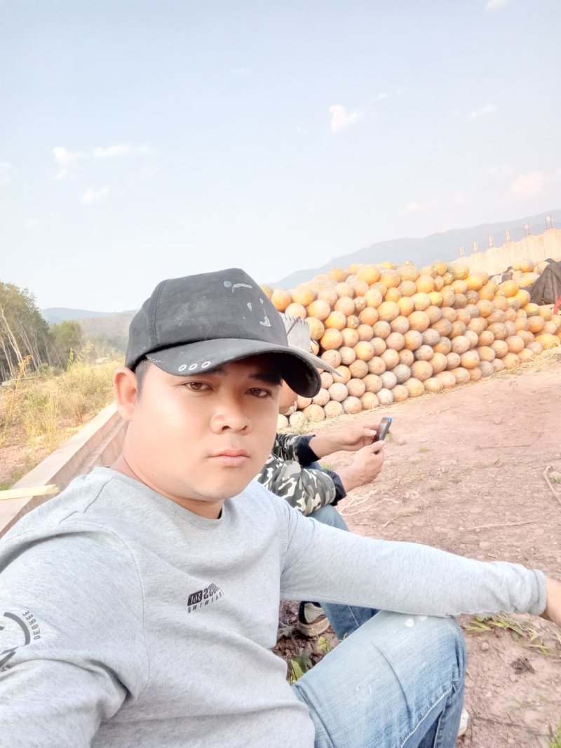 老南瓜