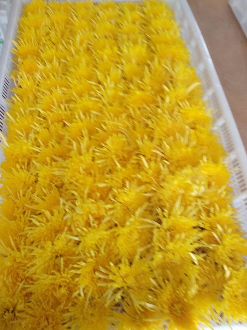 富硒金丝皇菊干