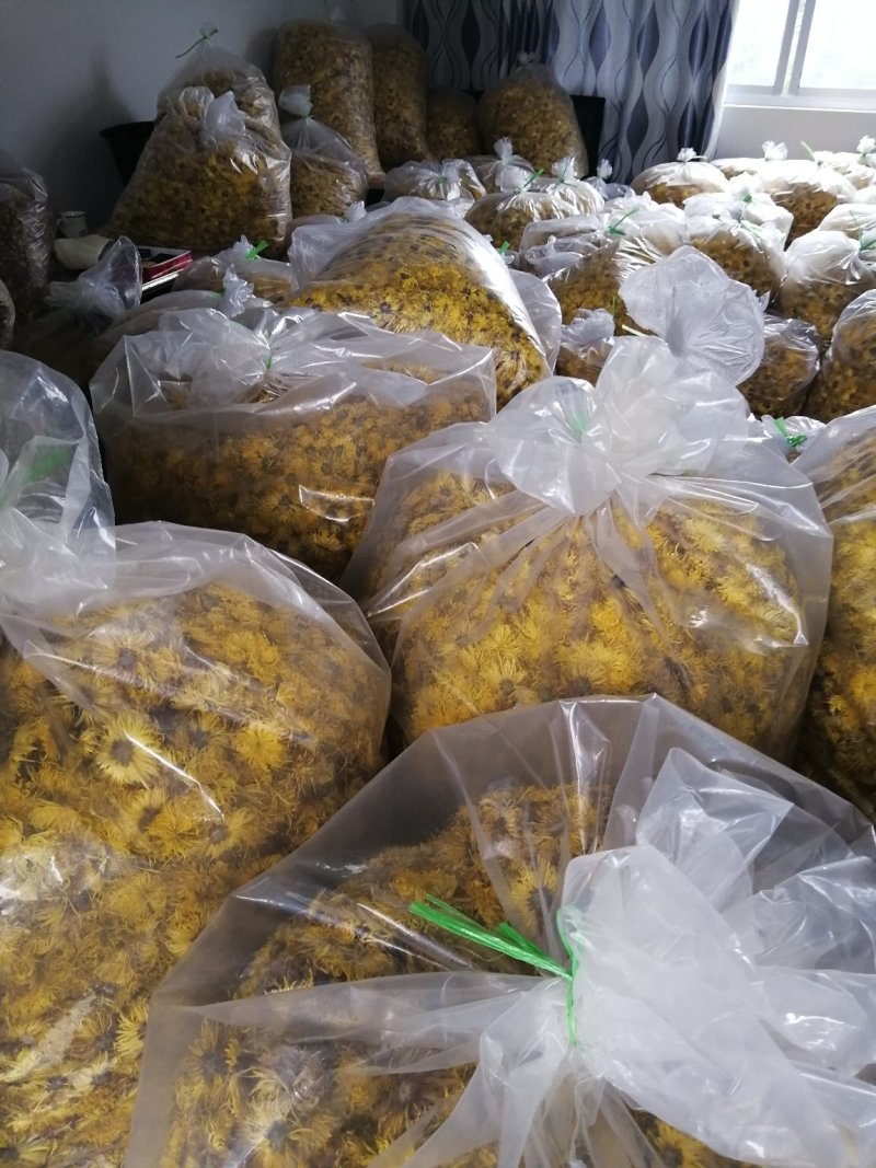 富硒金丝皇菊干