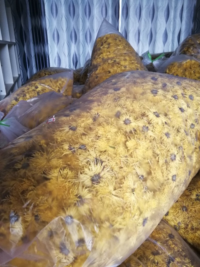 富硒金丝皇菊干