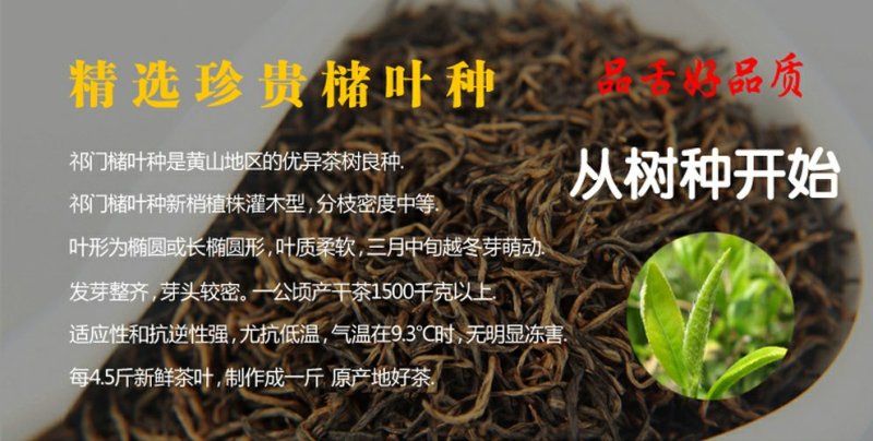 品舌2020年新茶祁门红茶功夫茶500g散茶