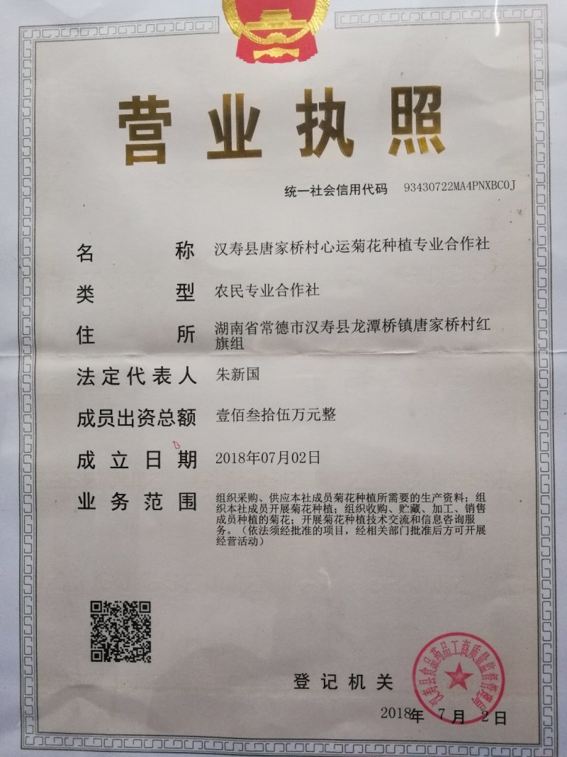 富硒金丝皇菊干