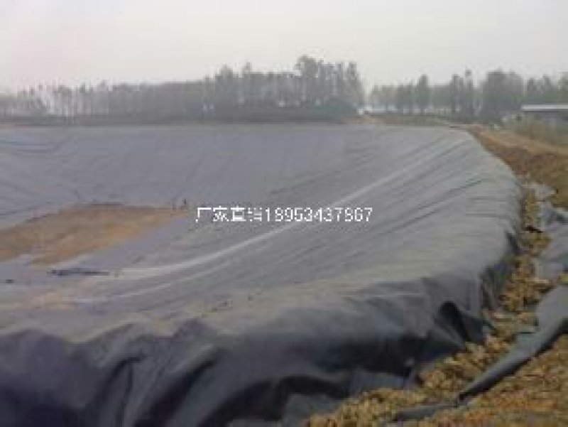 大量供应池塘用防渗膜土工膜，厂家直销，不赚差价