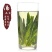 品舌2020年新茶太平猴魁500g散茶