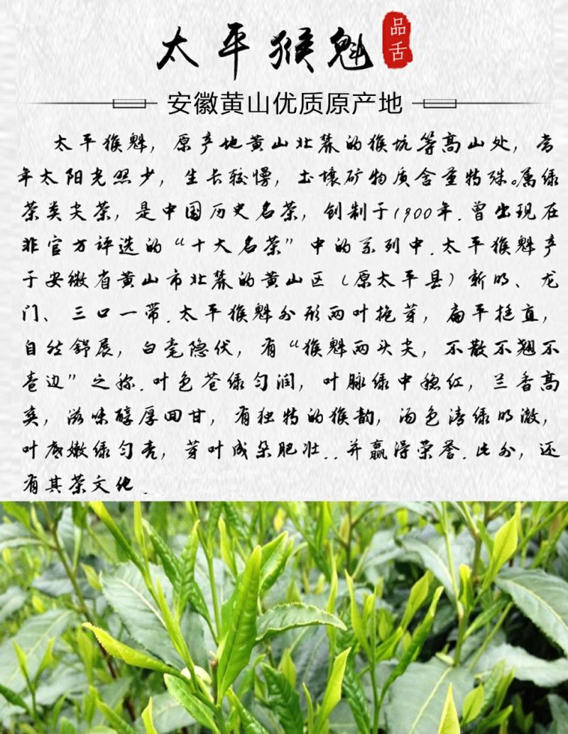 品舌2020年新茶太平猴魁500g散茶