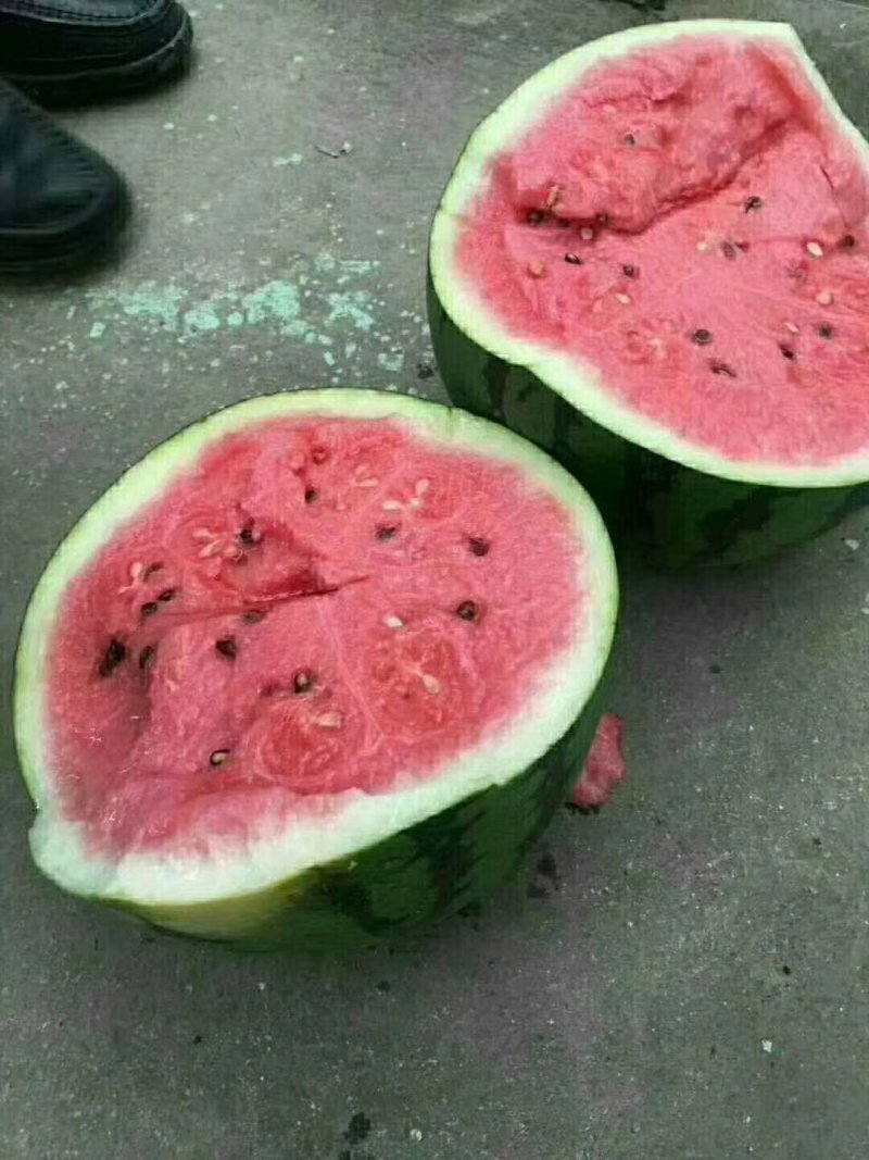 西瓜