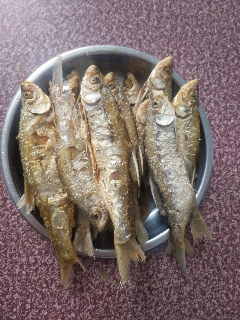 白条鱼