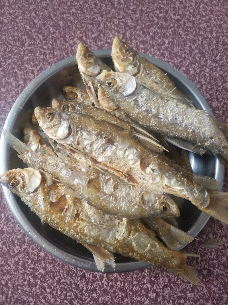 白条鱼