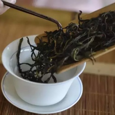 凤凰单丛茶