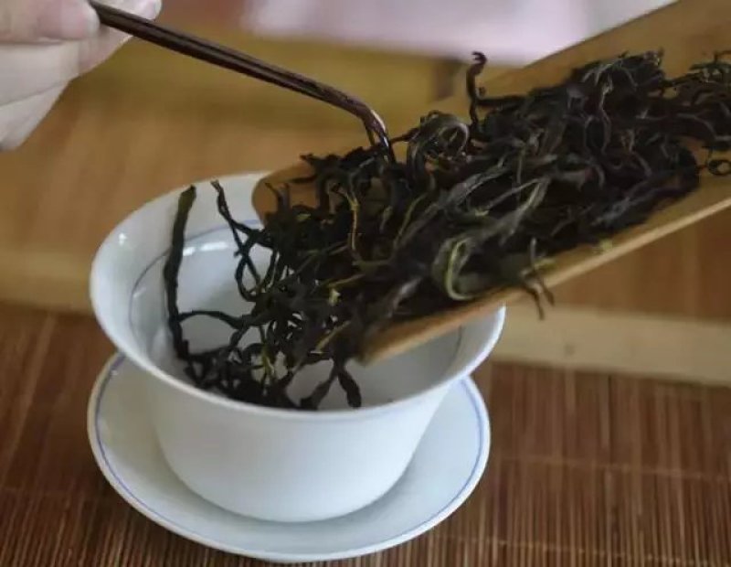 凤凰单丛茶