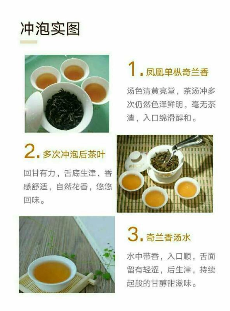 凤凰单丛茶