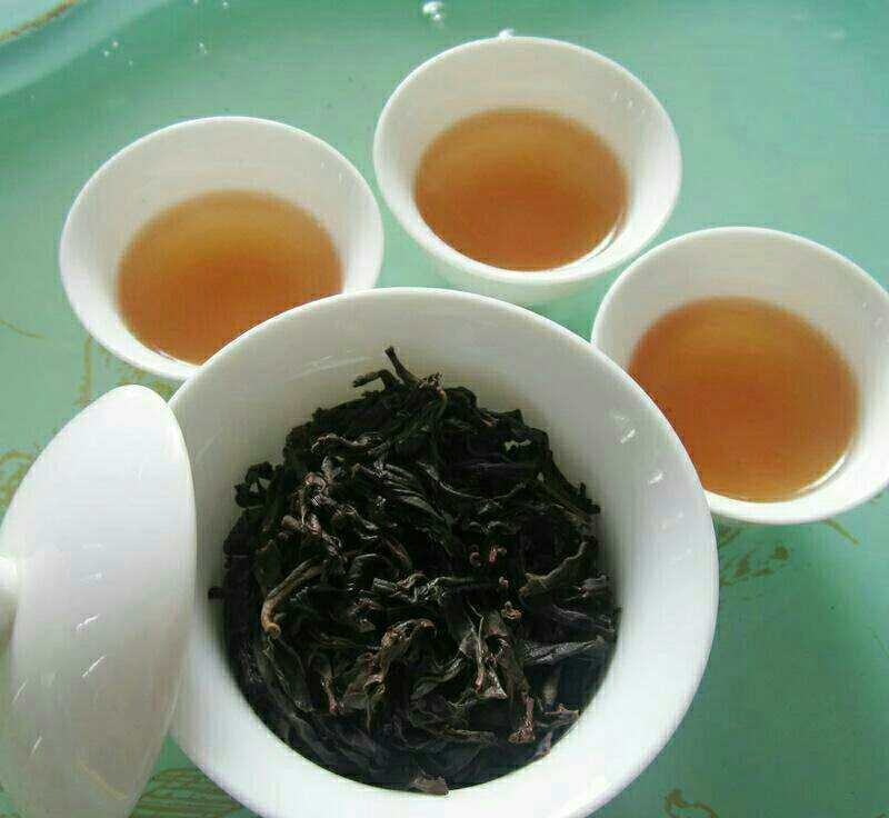凤凰单丛茶