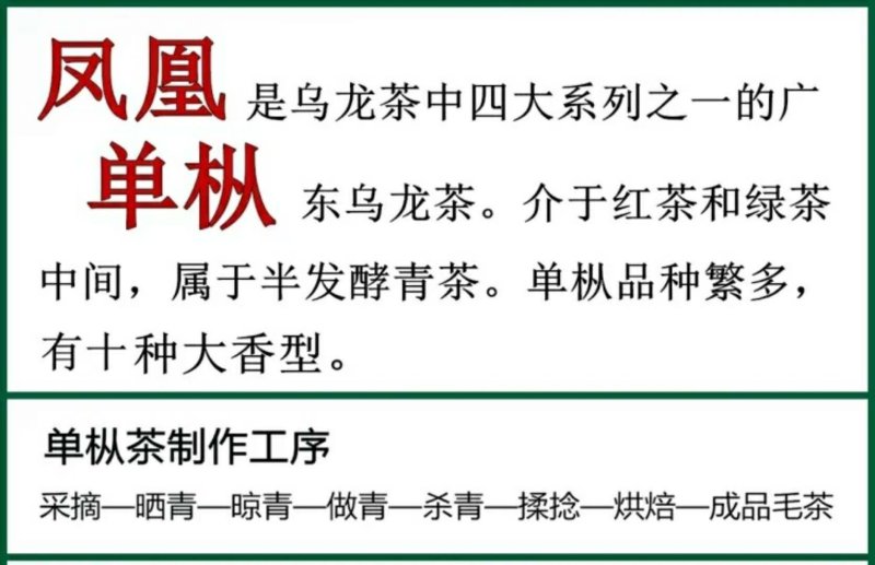 凤凰单丛茶