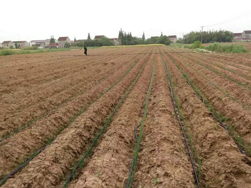 滴灌带