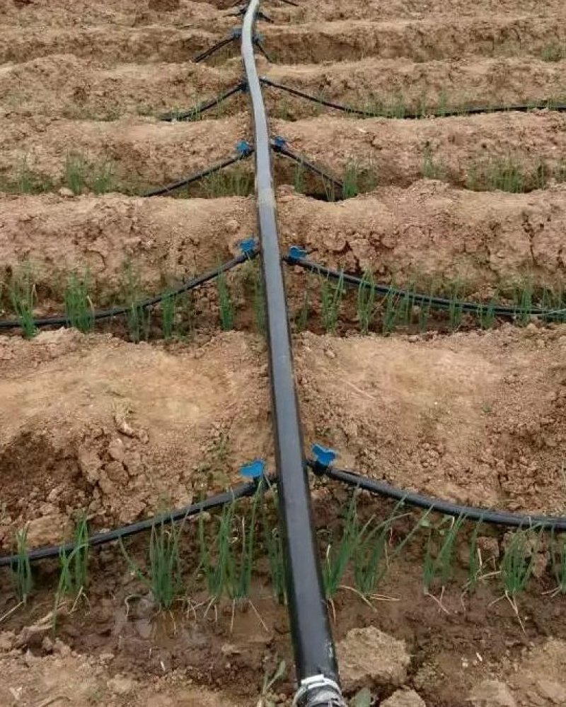 滴灌带