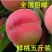 汁甜如蜜果肉细腻色泽艳丽个大味香，营养丰富。5斤装包邮！