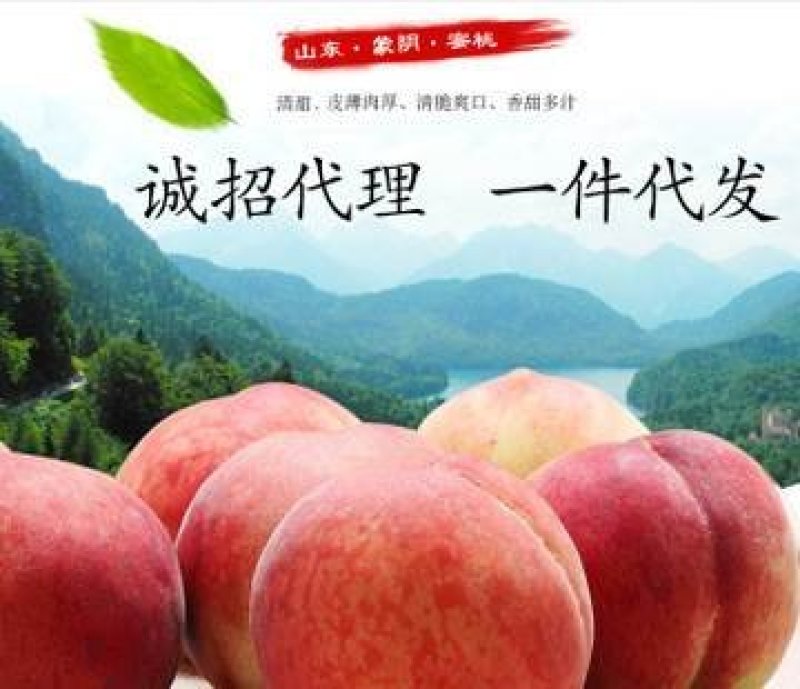 汁甜如蜜果肉细腻色泽艳丽个大味香，营养丰富。5斤装包邮！
