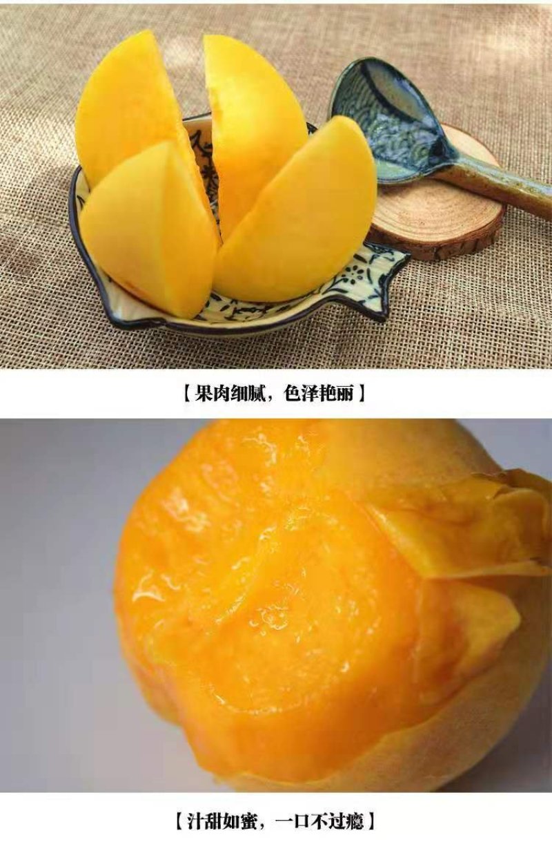 黄桃新鲜水果当季整箱5斤包邮应当季时令水蜜桃现摘现发毛桃