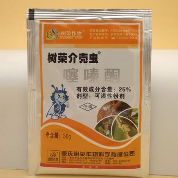 树荣介壳虫25%噻嗪酮柑橘柿子树李子树枣树蚧壳虫杀虫剂