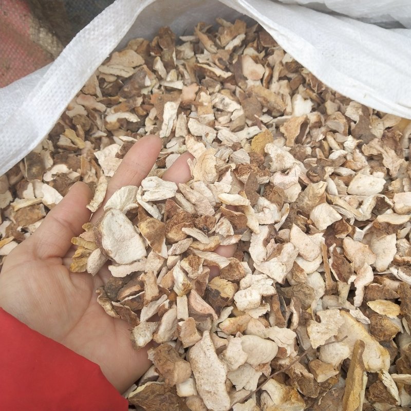 【热卖】土茯苓碎片一手货源，广西场地，