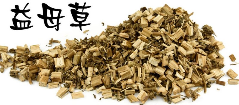 益母草种子适应性强新种子发芽率高可货到付款