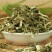益母草种子适应性强新种子发芽率高可货到付款