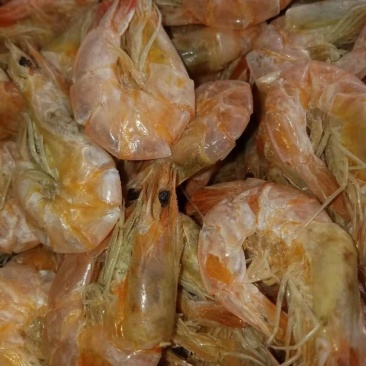 对虾烤虾干
