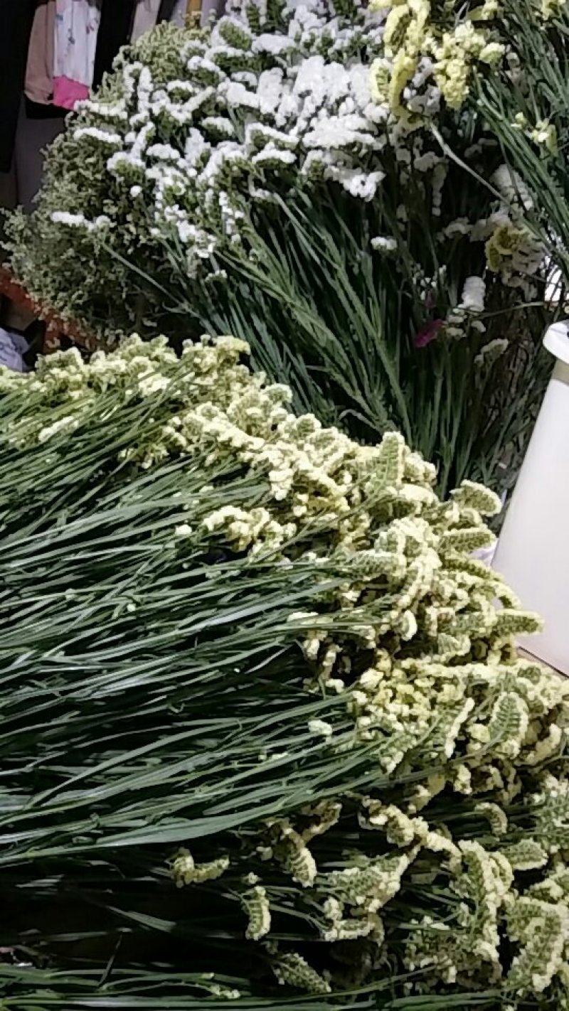 干花勿忘我，水晶花，情人草，满天星