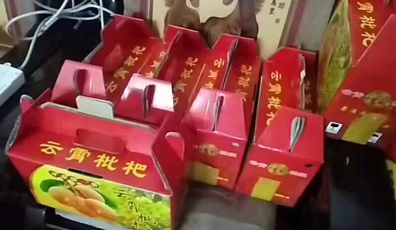云霄枇杷