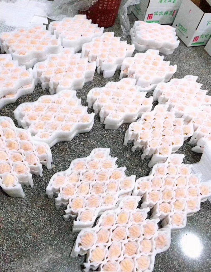 云霄枇杷