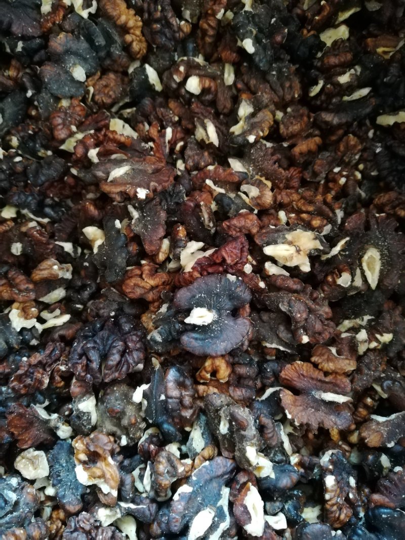 核桃仁子