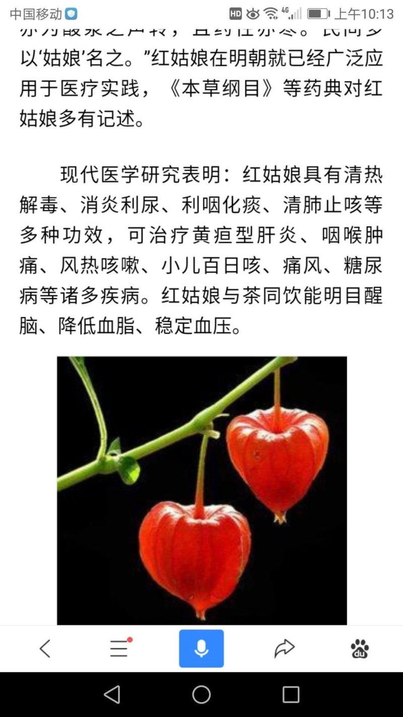 红菇娘种根