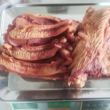 驴肉