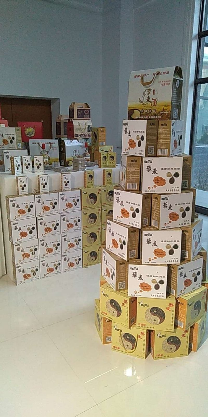 东北碱地藜麦