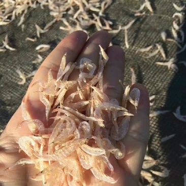 虾皮干