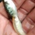草鱼苗，各种规格供应，量大从优欢迊来电咨询