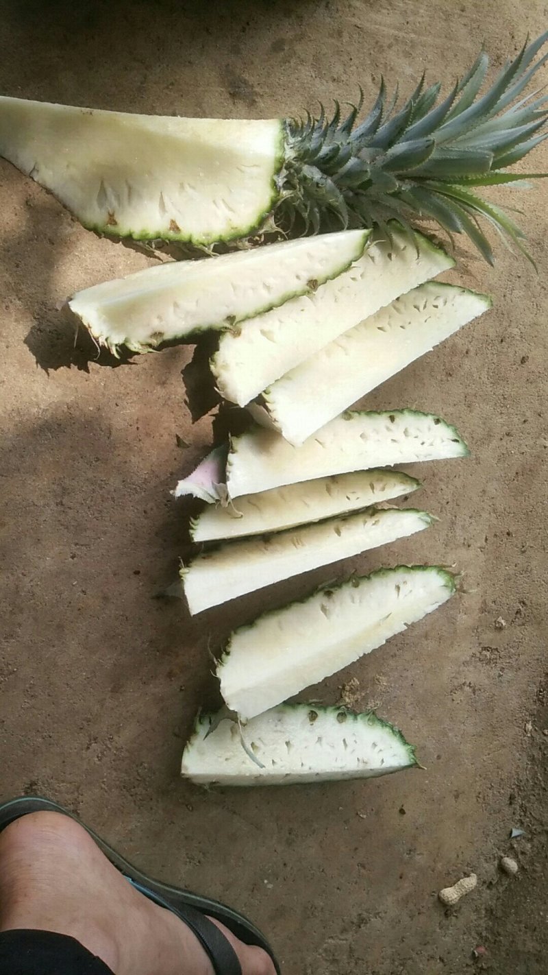 一斤半起步