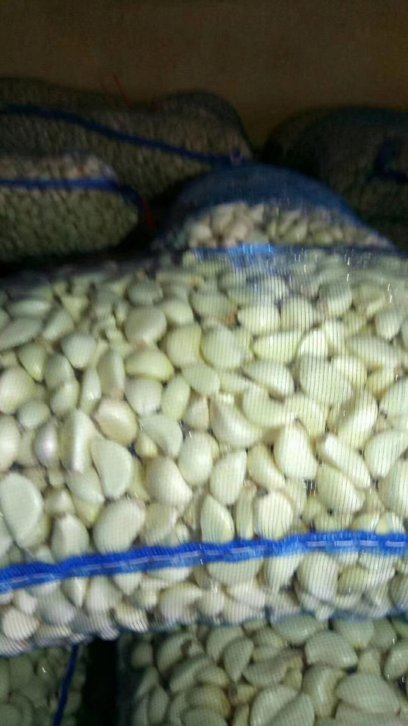 金乡蒜米料国内米出口米各种规格都有长年供应货源充足