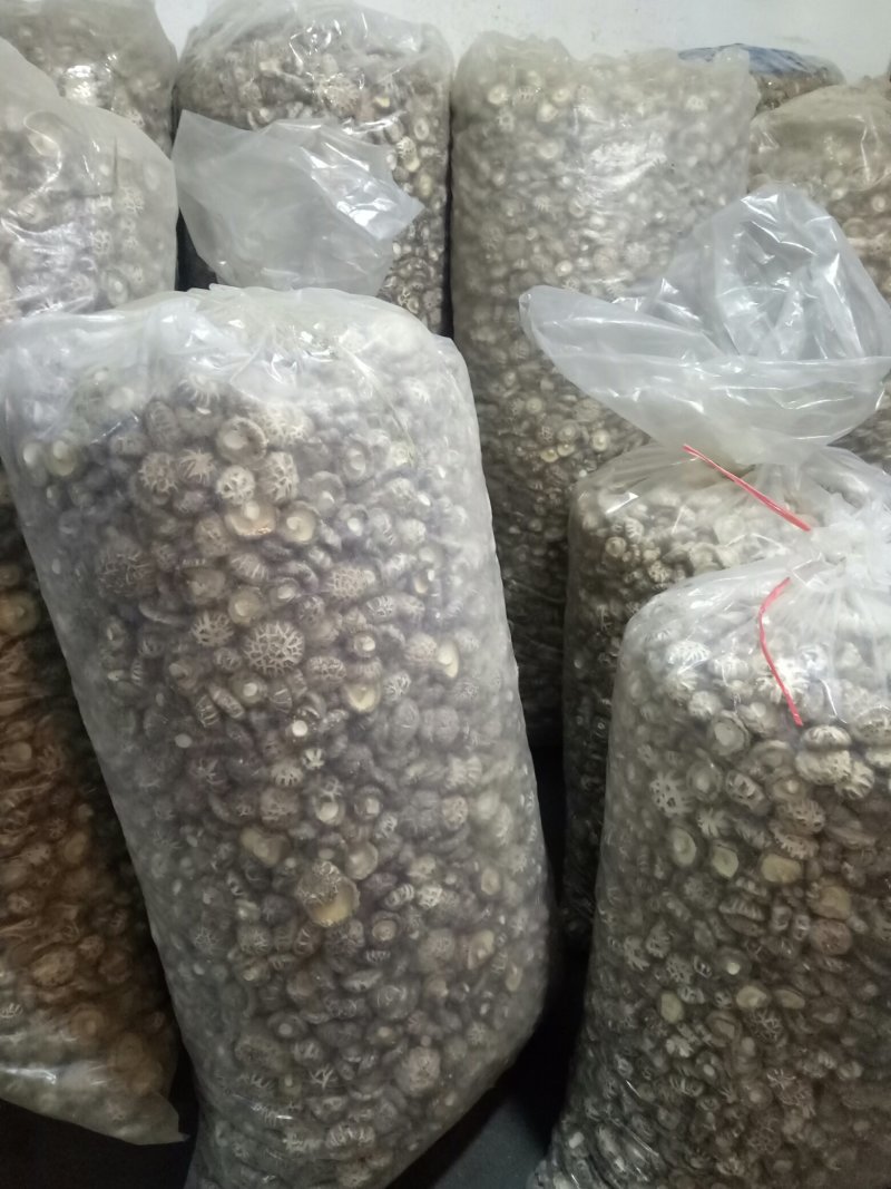 干香菇。河南春栽分级成品花菇批发，质量保证，包邮！