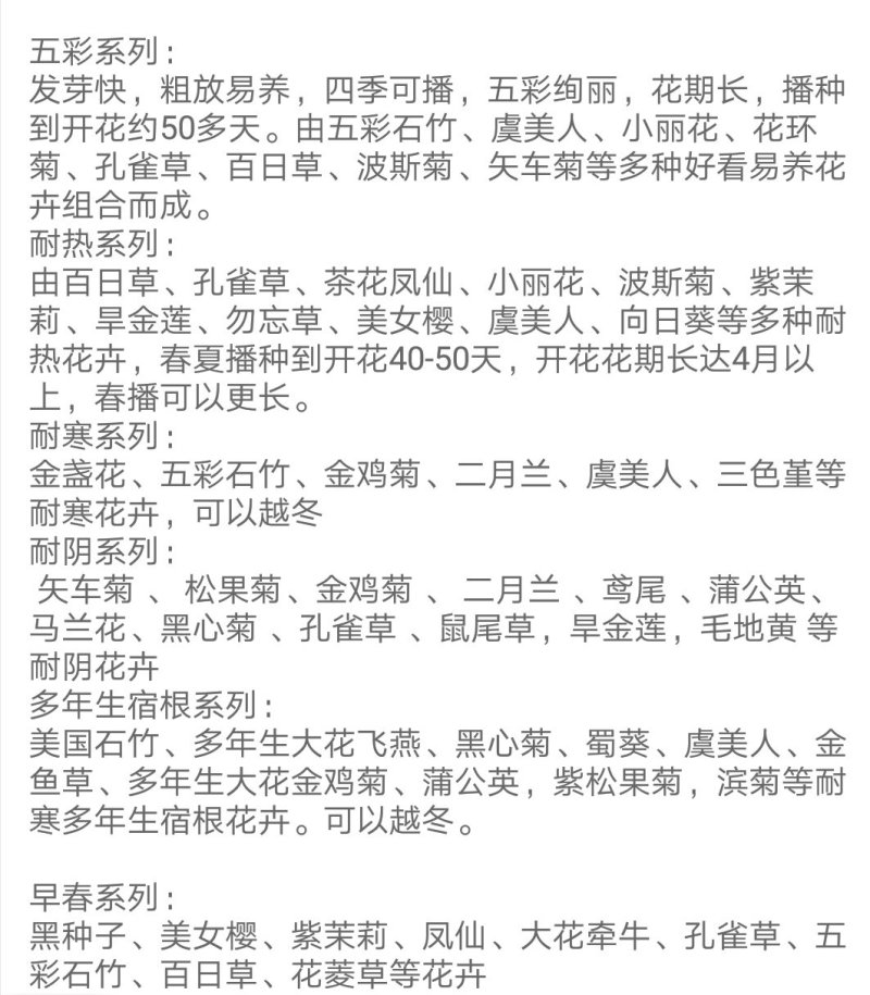 茶条槭种子林木种子