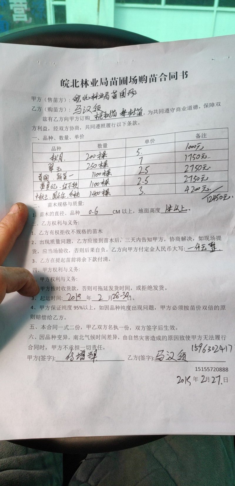 皖南黑桃苗（乌桃）稀有品种，十分罕见价格优惠欢迎来电咨询