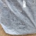 皖南黑桃苗（乌桃）稀有品种，十分罕见价格优惠欢迎来电咨询