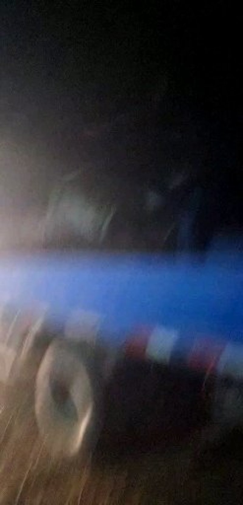 皖南黑桃苗（乌桃）稀有品种，十分罕见价格优惠欢迎来电咨询