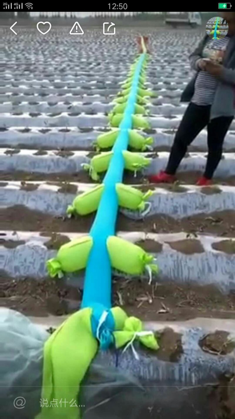 浇地用布水袋。