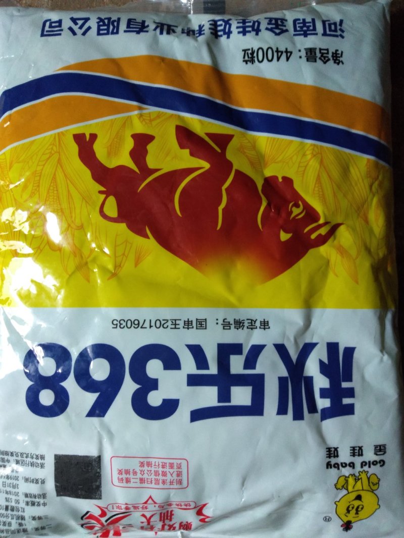 秋乐368/4400粒017年国审品种