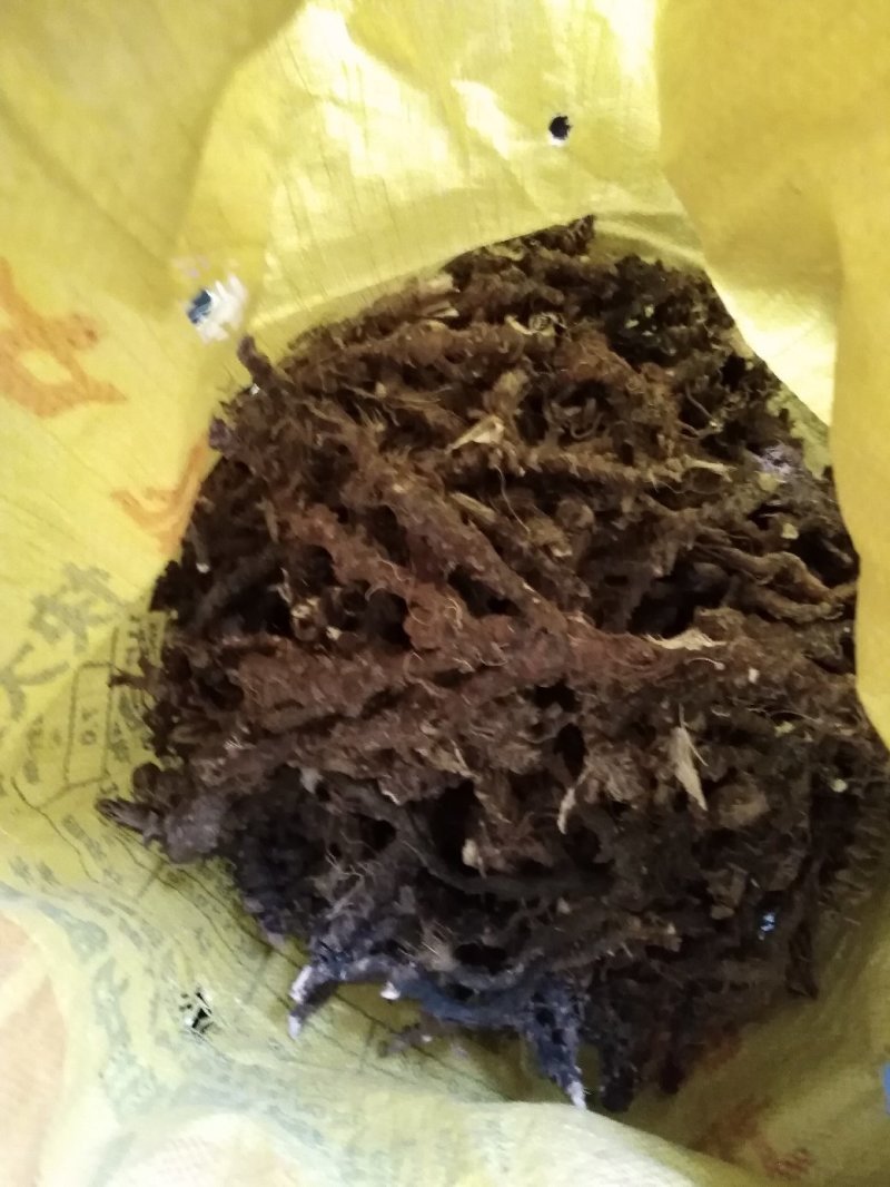 石菖蒲鲜货干货一起来广东货