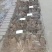 公羊兔，宠物兔，杂交野兔养殖基地，肉兔的品种