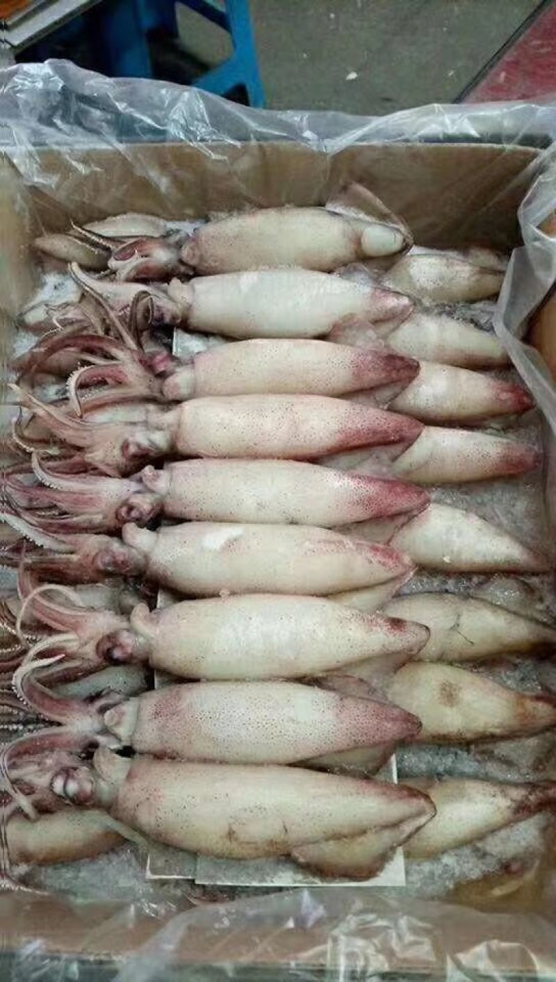 欢迎大家咨询