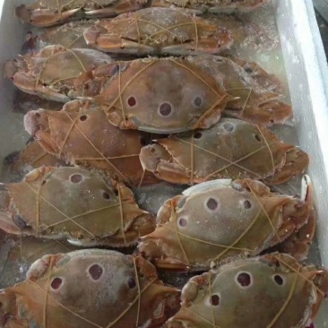 欢迎大家咨询